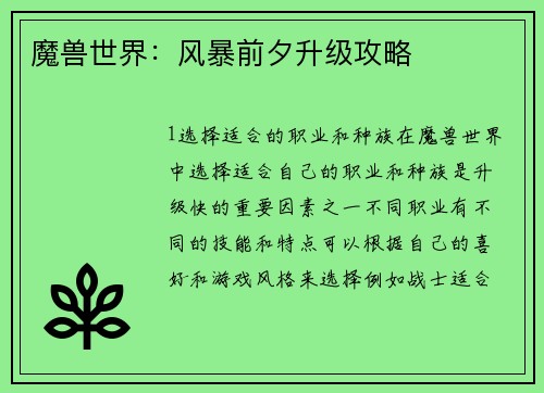 魔兽世界：风暴前夕升级攻略